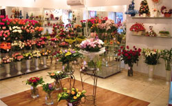 Продвижение интернет магазина цветов